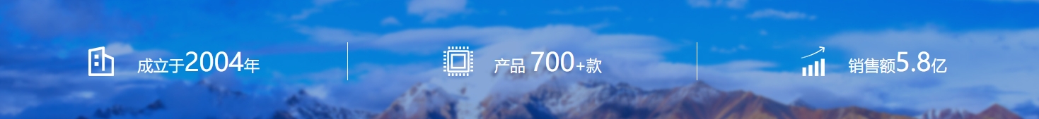 中微愛芯公司簡介