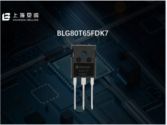 BLG80T65FDK7